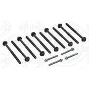 Elring Cylinder Head Bolt Set 509.710