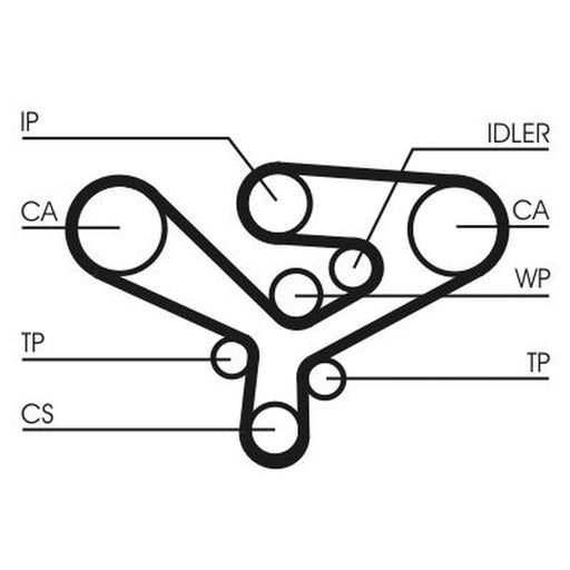 Continental CTAM Timing Belt Cambelt 239 Teeth CT1135