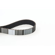 Continental CTAM Timing Belt Cambelt 117 Teeth CT841