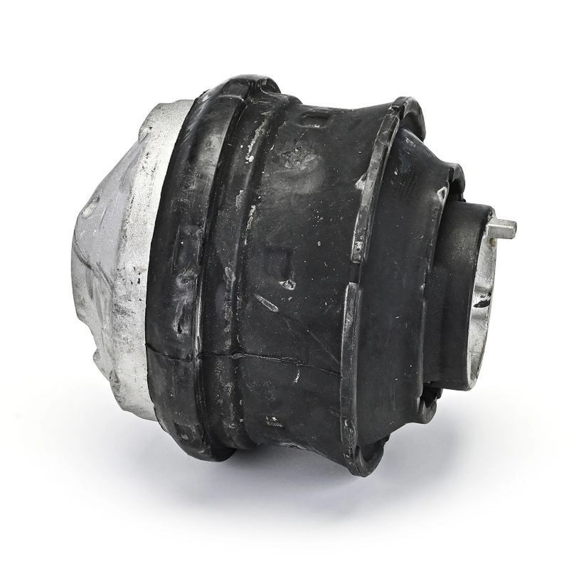 Delphi Engine Mount Mounting Front TEM132