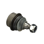 Delphi Ball Joint Lower TC519
