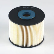 Delphi Fuel Filter Element HDF621