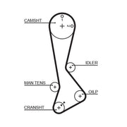 Gates Timing Belt Cambelt 121 Teeth 5198XS