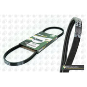 BGA Multi V-Ribbed Drive Belt 3PK880