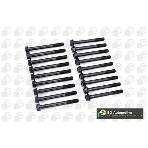 BGA Cylinder Head Bolt Set M11 BK5332