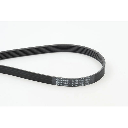 Continental CTAM Multi V-Ribbed Drive Belt 6PK1580