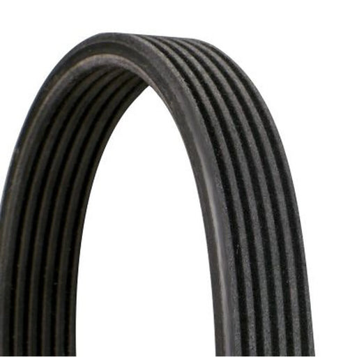 Continental CTAM Multi V-Ribbed Drive Belt 6DPK1195