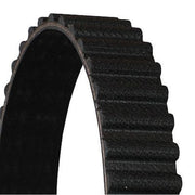 Continental CTAM Timing Belt Cambelt 55 Teeth CT991