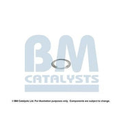 BM Catalysts Fitting Kit FK11640A FK11640A