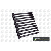 BGA Cylinder Head Bolt Set M10 BK6381