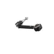 Delphi Control/Trailing Arm Rear TC5658