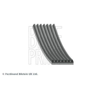 Blue Print Multi V-Ribbed Drive Belt AD07R1240