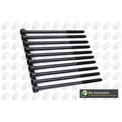BGA Cylinder Head Bolt Set M10 BK4357
