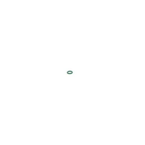 Bosch Rubber Seal Ring 1 928 300 887