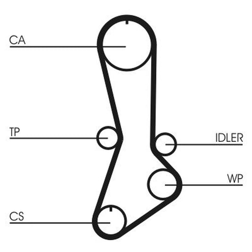 Continental CTAM Timing Belt Cambelt 108 Teeth CT765