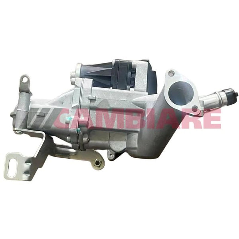 Cambiare EGR Exhaust Gas Recirculation Module VE360447