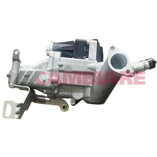 Cambiare EGR Exhaust Gas Recirculation Module VE360447