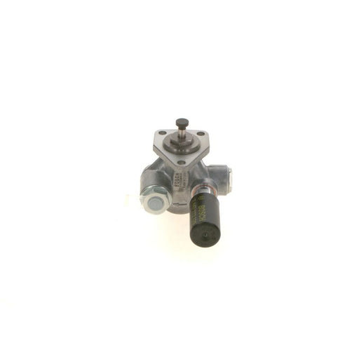 Bosch Fuel Pump Assembly 0 440 017 030