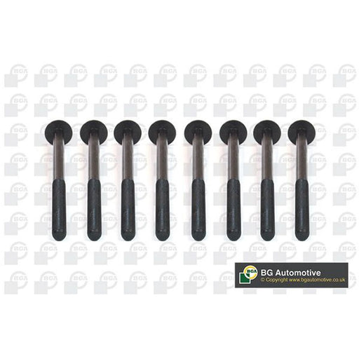 BGA Cylinder Head Bolt Set M12 BK5930