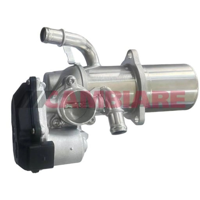Cambiare EGR Exhaust Gas Recirculation Module VE360444