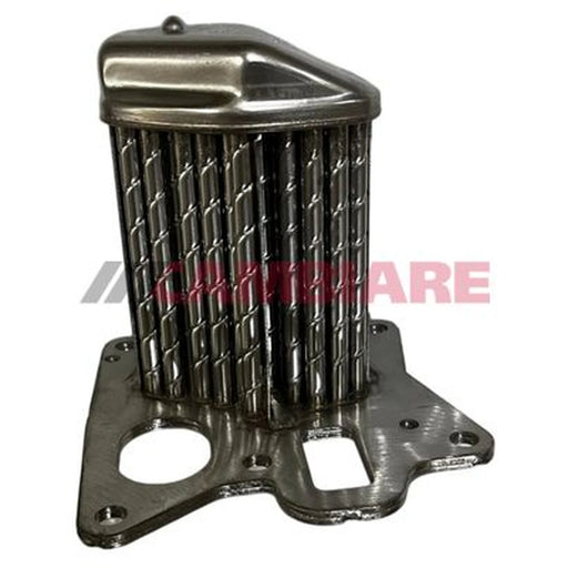 Cambiare EGR Cooler (Exhaust Gas Recirculation) VE360410