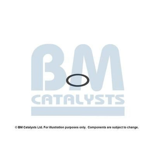 BM Catalysts Fitting Kit FK80508A FK80508A