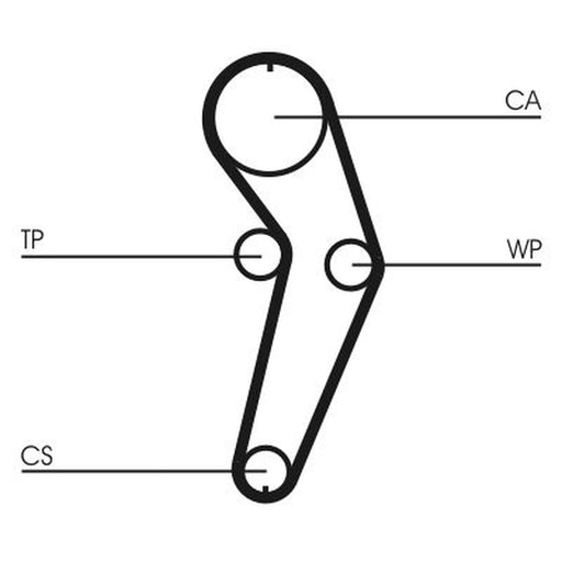 Continental CTAM Timing Belt Kit with Rollers CT988K2