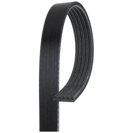 Gates Multi V-Ribbed Drive Belt 5PK1590