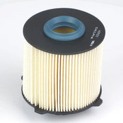 Delphi Fuel Filter Element HDF623