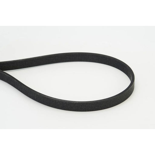 Continental CTAM Multi V-Ribbed Drive Belt 6DPK1817