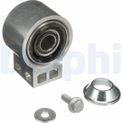 Delphi Wishbone / Control / Trailing Arm Bush TD1677W