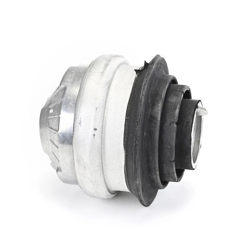 Delphi Engine Mount Mounting Front TEM144
