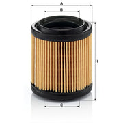 MANN-FILTER Engine Air Filter C 710/1