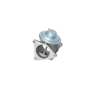 NRF Exhaust Gas Recirculation Valve 48321