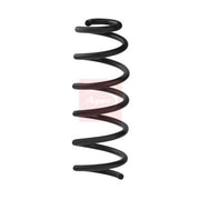 Apec Rear Suspension Coil Spring ACS2445