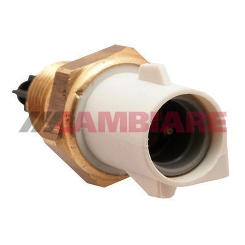 Cambiare Intake Air Temperature Sensor VE375087