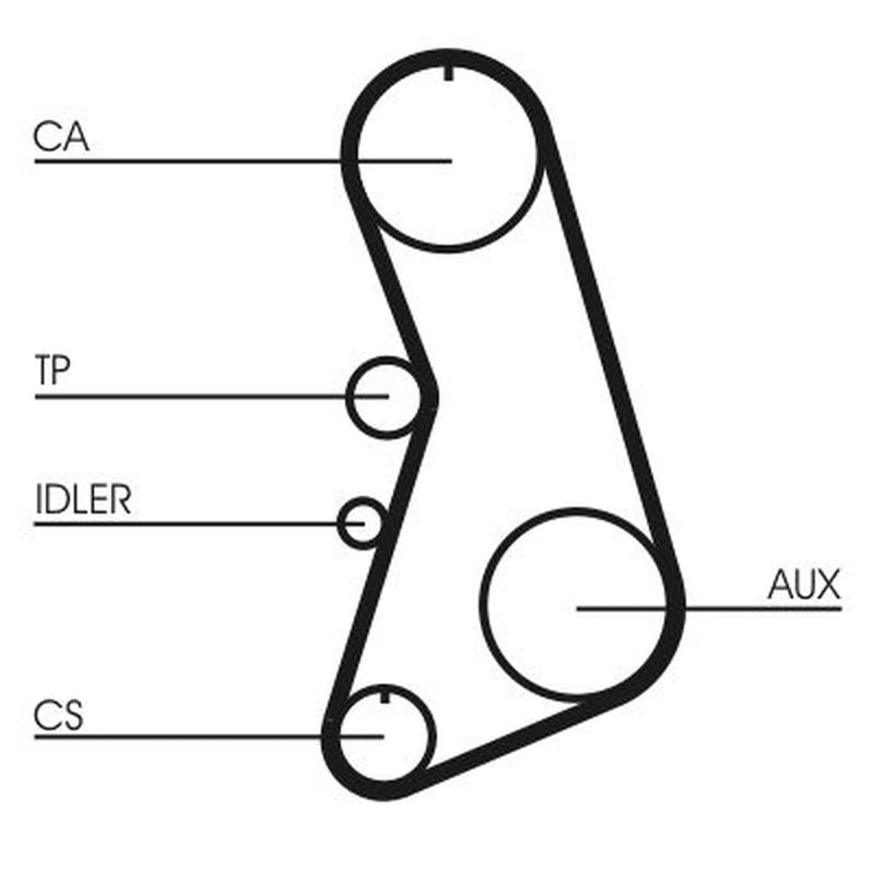 Continental CTAM Timing Belt Kit with Rollers CT919K5