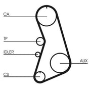 Continental CTAM Timing Belt Kit with Rollers CT919K4