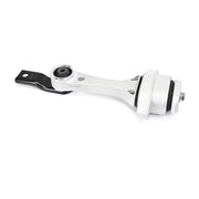 Delphi Engine Mount Mounting Rear TEM260