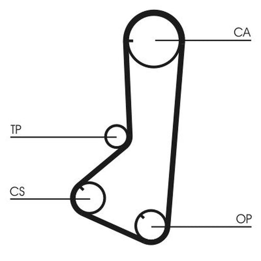 Continental CTAM Timing Belt Cambelt 123 Teeth CT839