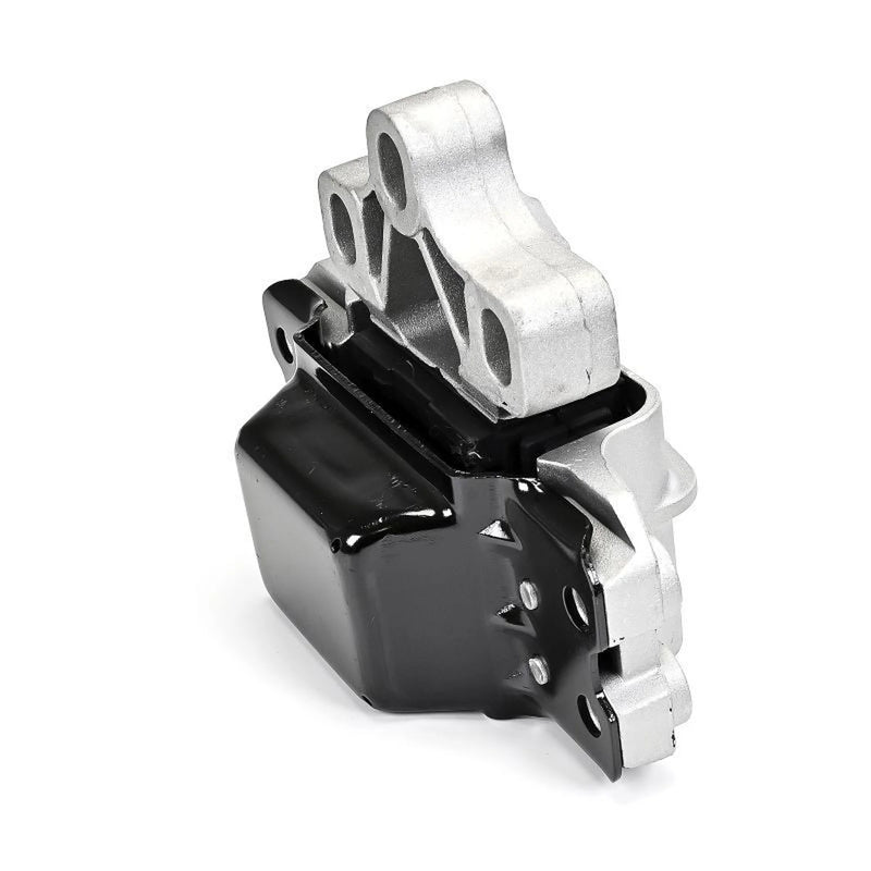 Delphi Engine Mount Mounting Left TEM256