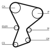 Continental CTAM Timing Belt Cambelt 157 Teeth CT545