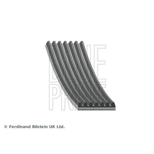 Blue Print Multi V-Ribbed Drive Belt AD07R1475