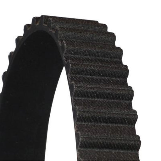 Continental CTAM Timing Belt Cambelt 167 Teeth CT831