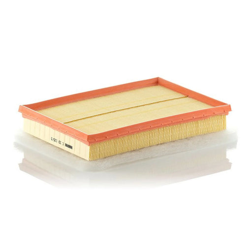 MANN-FILTER Engine Air Filter C 30 125/3