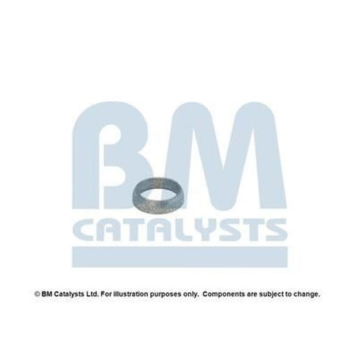 BM Catalysts Fitting Kit FK80427A FK80427A