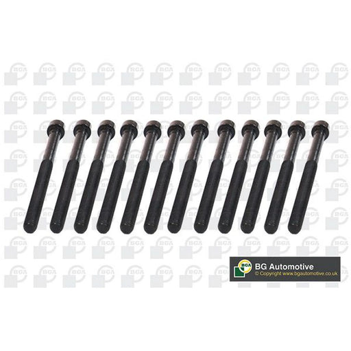 BGA Cylinder Head Bolt Set M11 BK5915