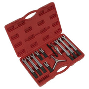 Sealey Bearing & Gear Puller Set 12pc PS900 Sealey  - Town Parts