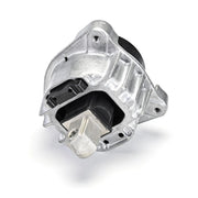Delphi Engine Mount Mounting both sides TEM255