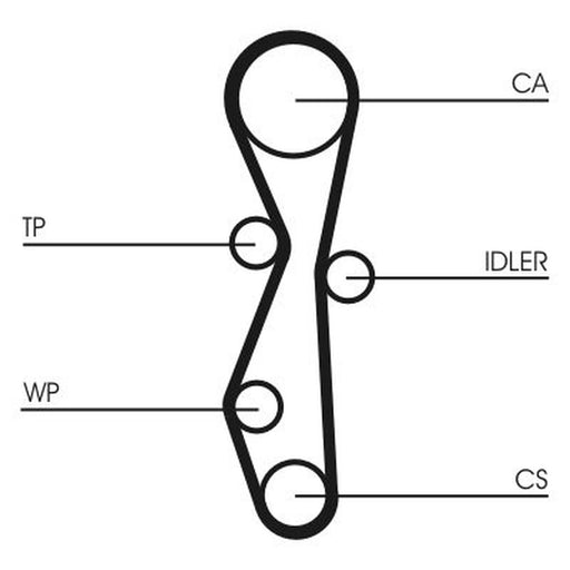 Continental CTAM Timing Belt Cambelt 116 Teeth CT1091